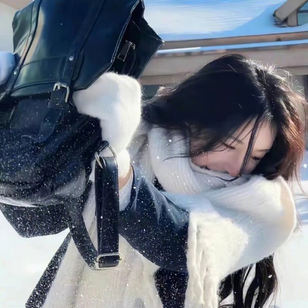 与凤飞